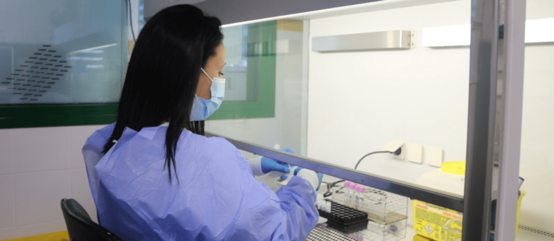 Imagen de archivo de unas pruebas de diagnóstico de viruela del mono / TA